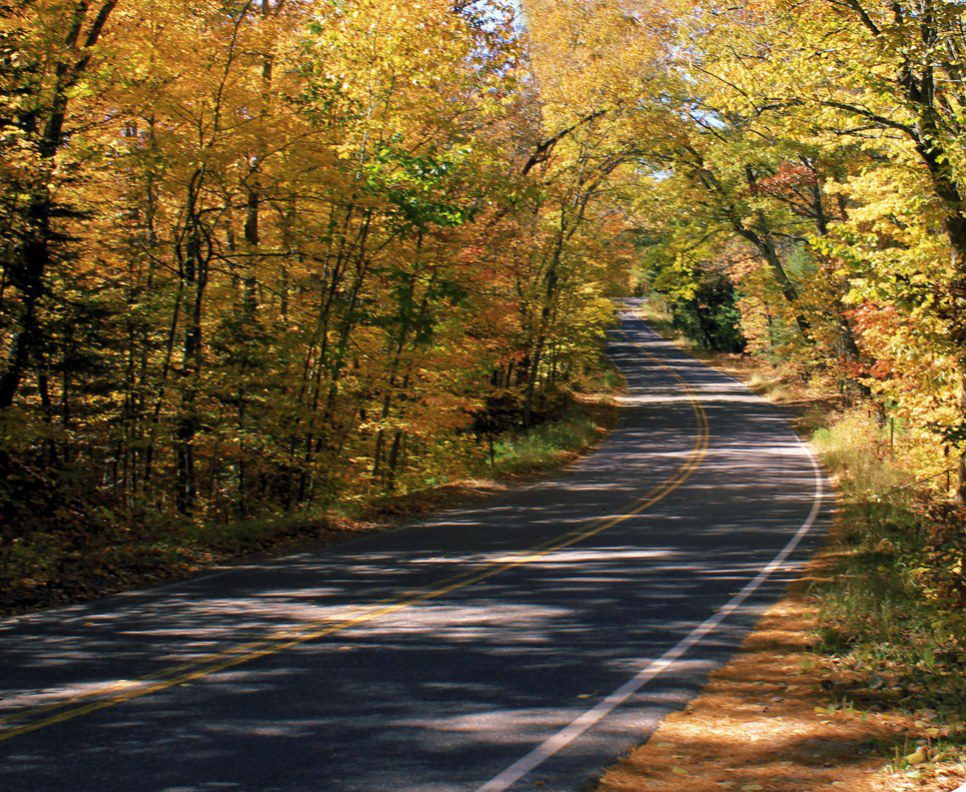 Save the Rustic Road - White Birch Village